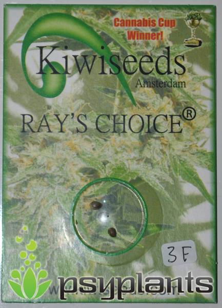Ray's Choice (Kiwiseeds) - 3 fem.