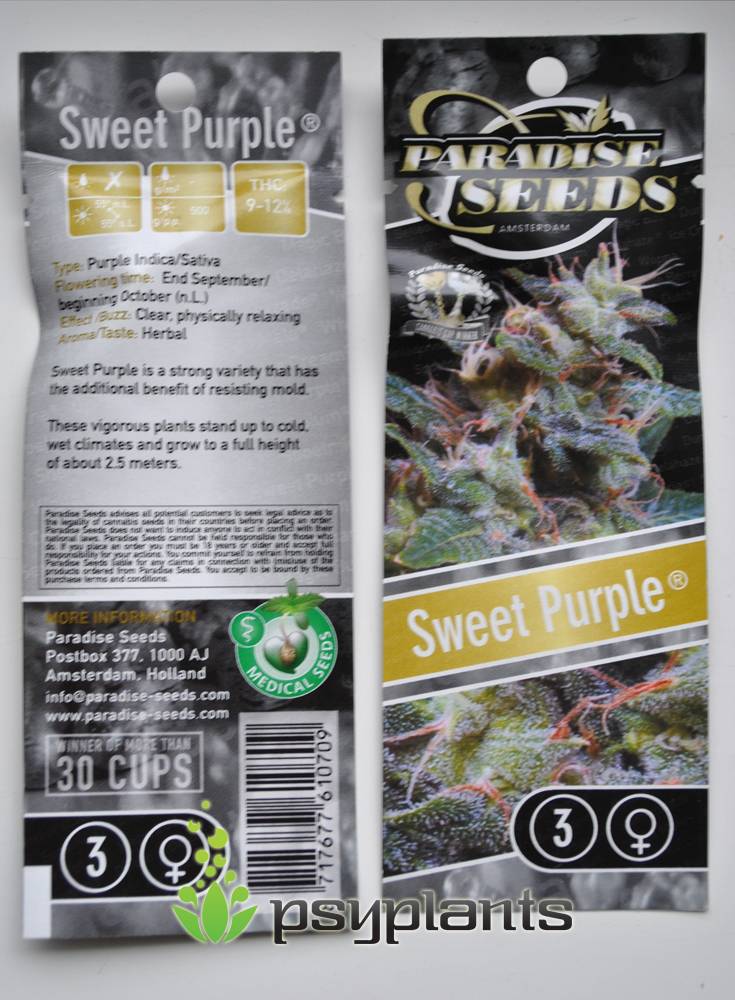 Sweet Purple (Paradise Seeds) - 3 fem.