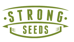 strong seeds