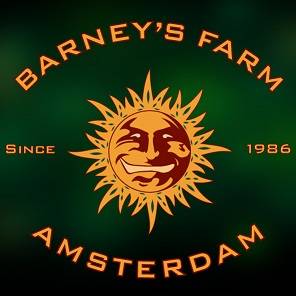 Barneys_Farm_Amsterdam