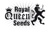 royal-queen-seeds
