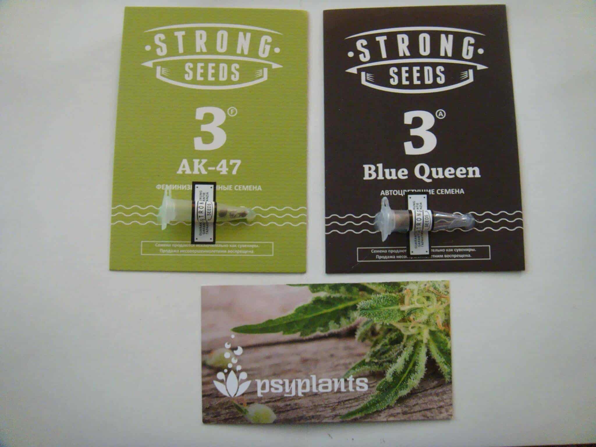 strong-seeds